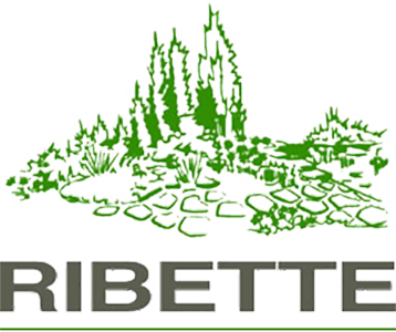 Ribette